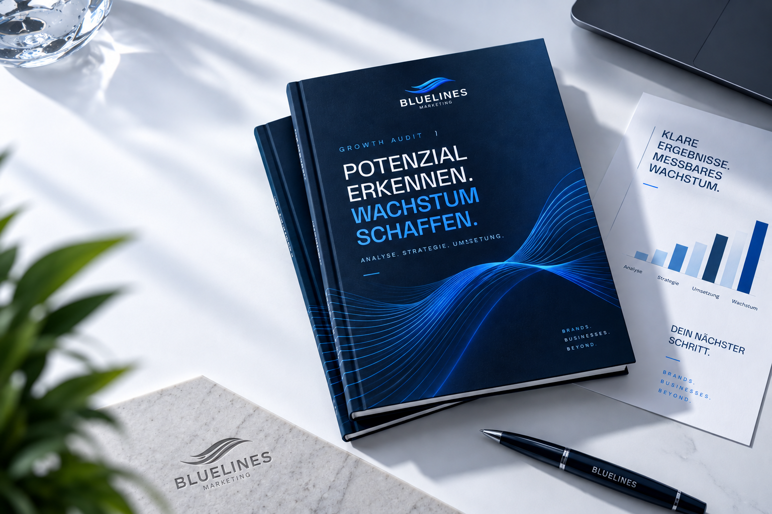 BLUELINES Growth Audit Bericht